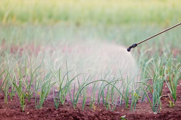 Fertilizers
