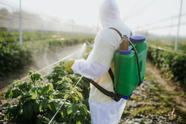 Fertilizers
